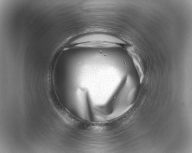 X0000075330352200609292014