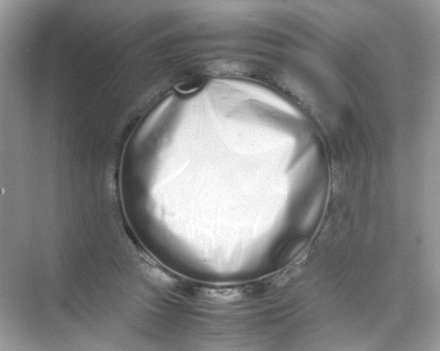 X0000075330353200609292014