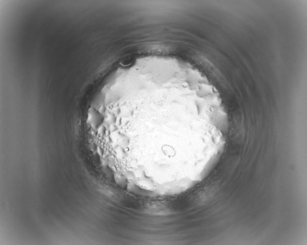 X0000075330355200609292014