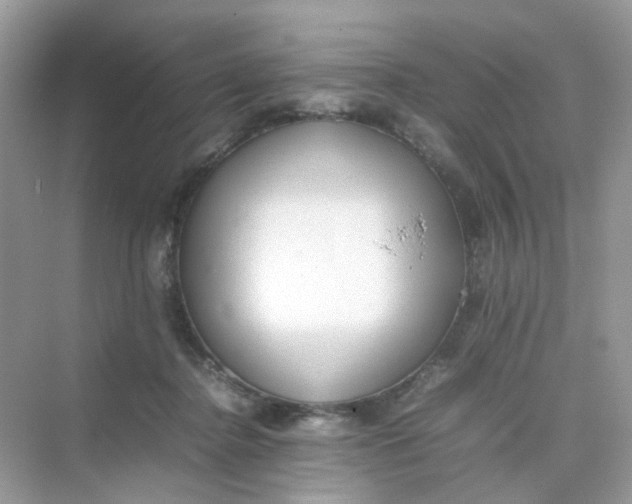 X0000075330364200609292014