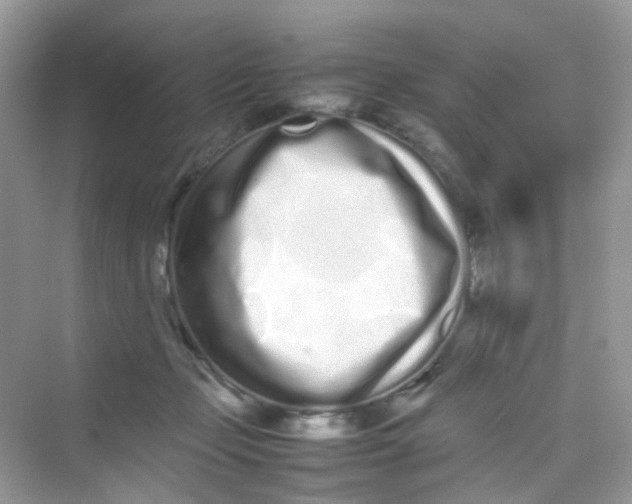 X0000075330365200609292014