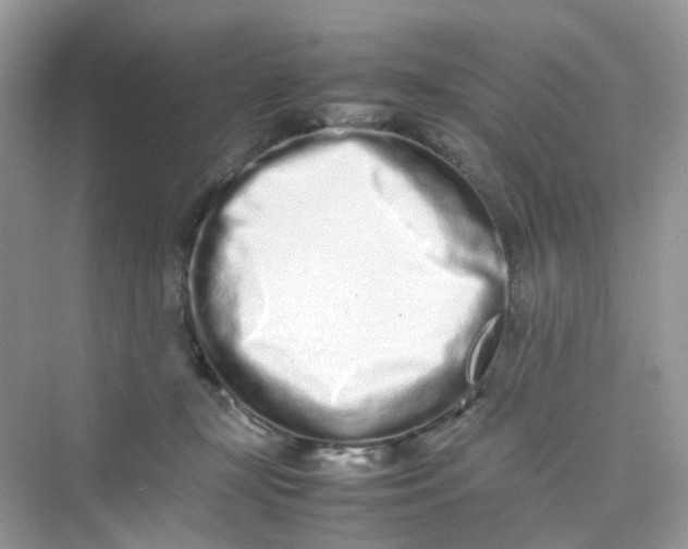 X0000075330367200609292015