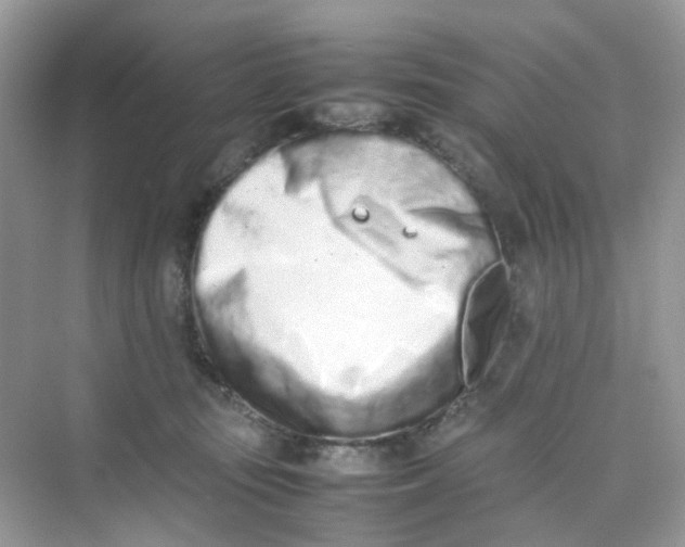 X0000075330371200609292015