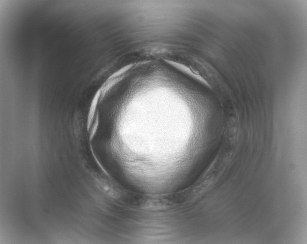 X0000075330372200609292015