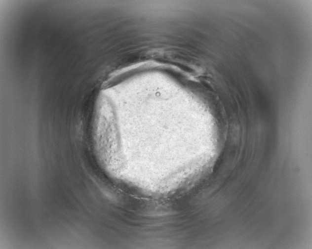 X0000075330375200609292015