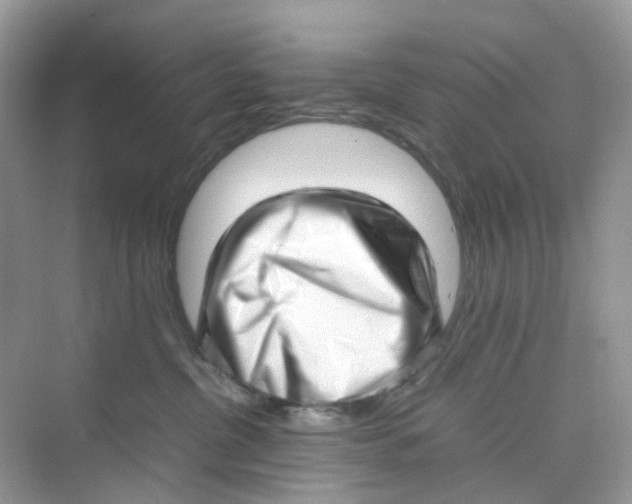 X0000075330380200609292015