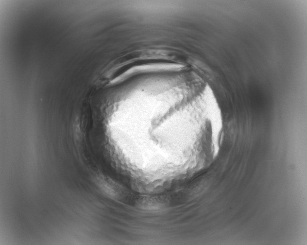 X0000075330381200609292015