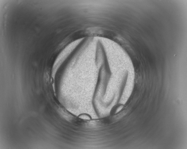 X0000075330382200609292015
