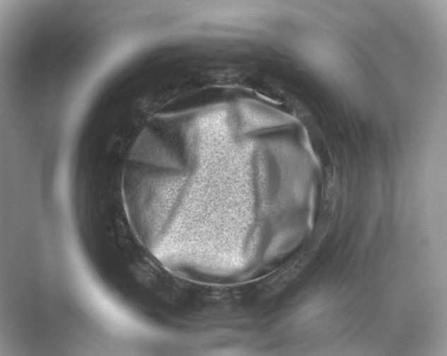 X0000075330383200609292015