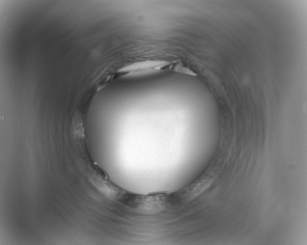 X0000075330384200609292015
