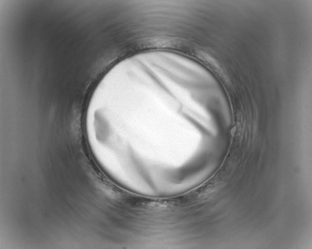 X0000075330394200609292014