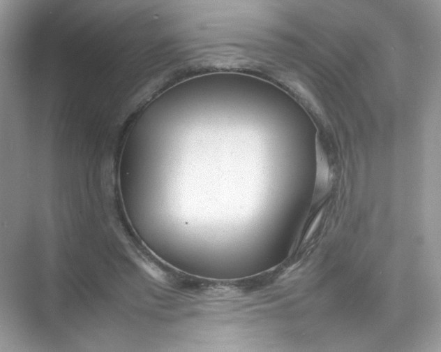 X0000075330397200609292014