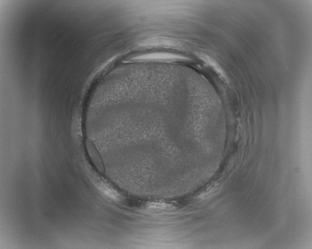 X0000075330399200609292014