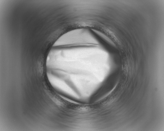 X0000075330402200609292014