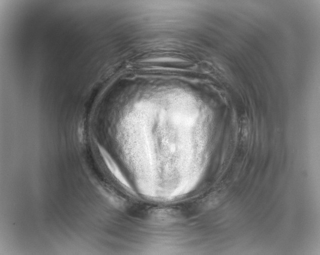 X0000075330408200609292014