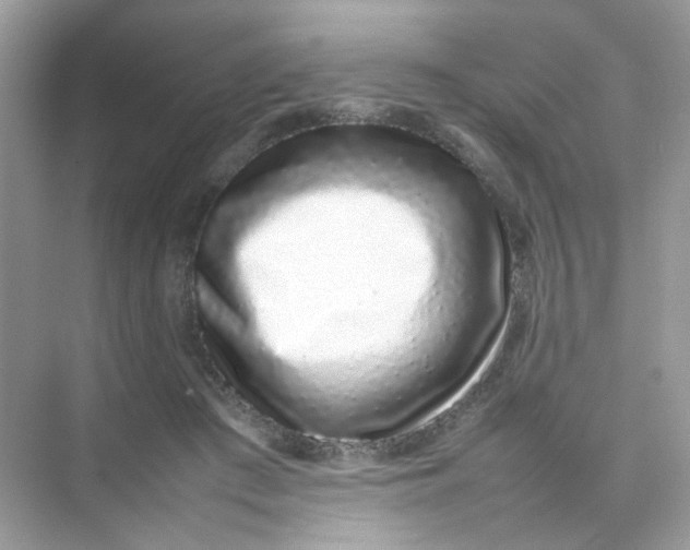 X0000075330409200609292014