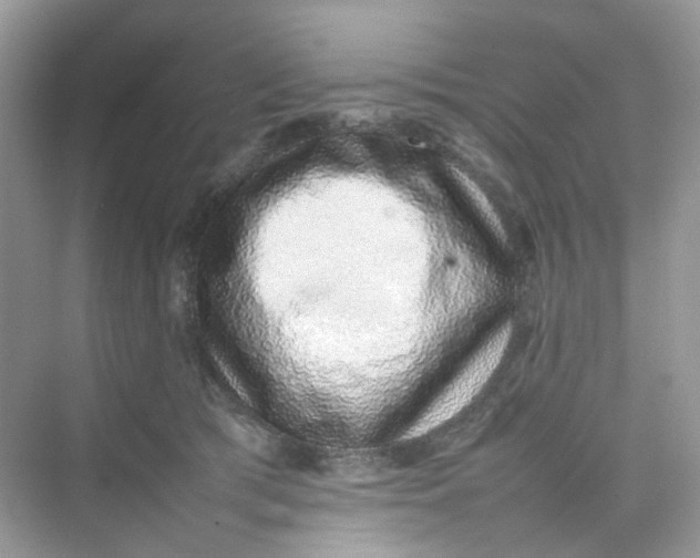 X0000075330417200609292013
