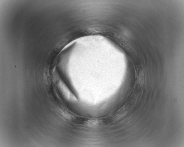 X0000075330418200609292013