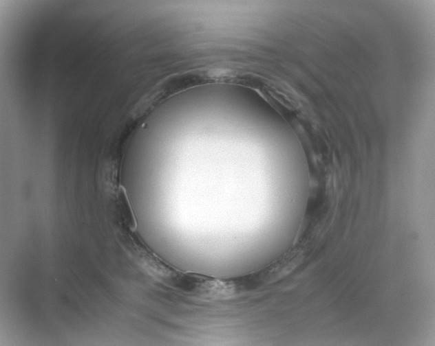 X0000075330421200609292013