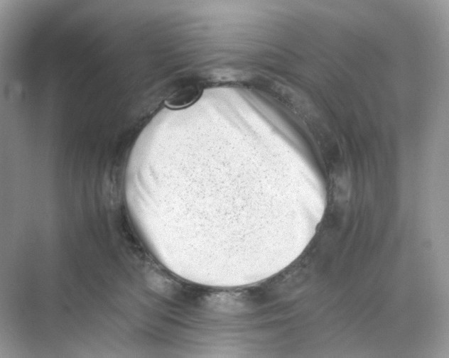 X0000075330422200609292013