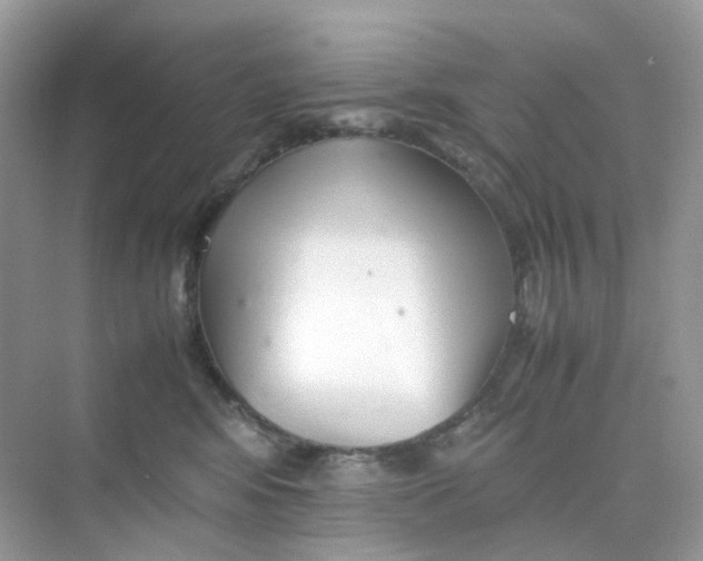X0000075330424200609292013