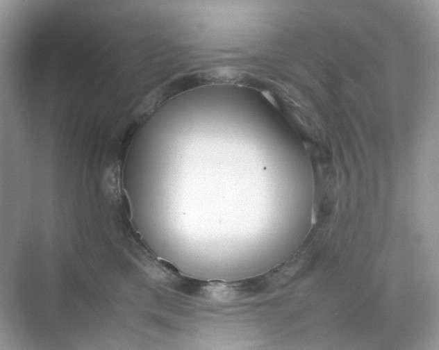 X0000075330425200609292013
