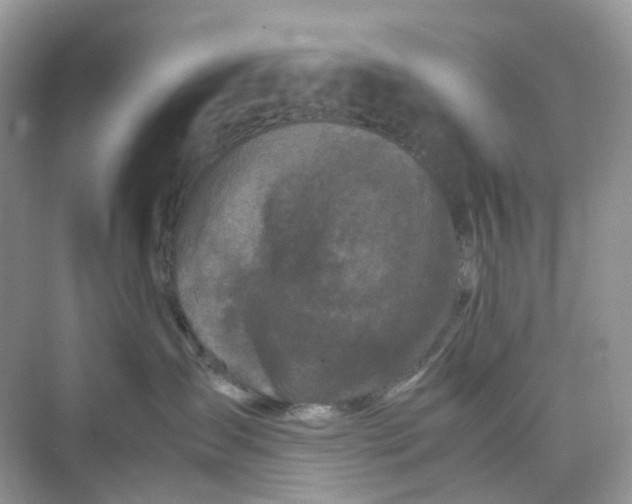 X0000075330431200609292013