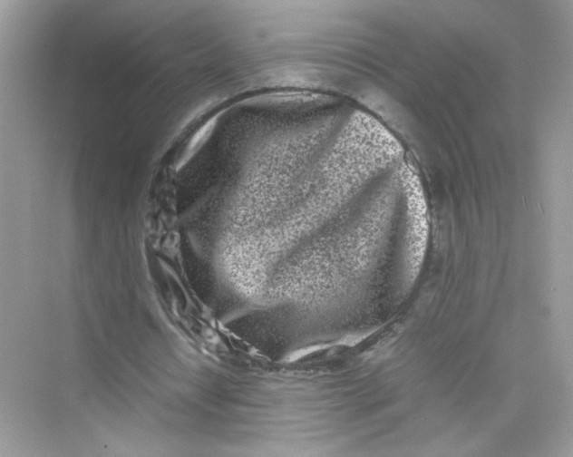 X0000075330434200609292012