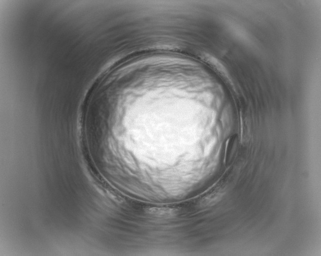 X0000075330435200609292012