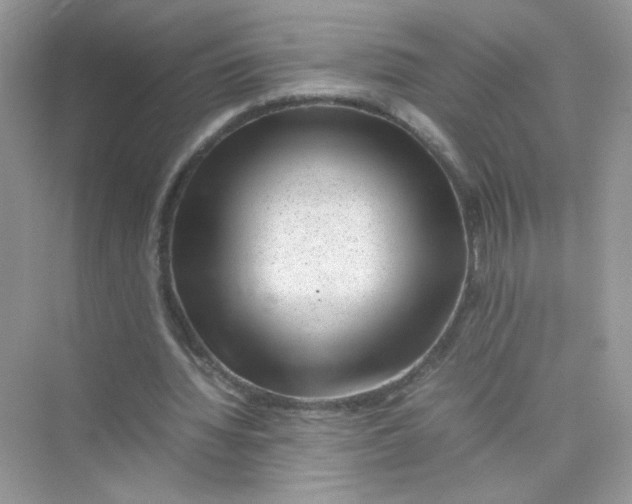 X0000075330436200609292012