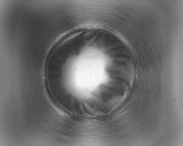 X0000075330438200609292012