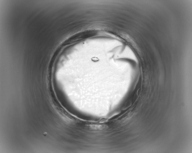 X0000075330439200609292012
