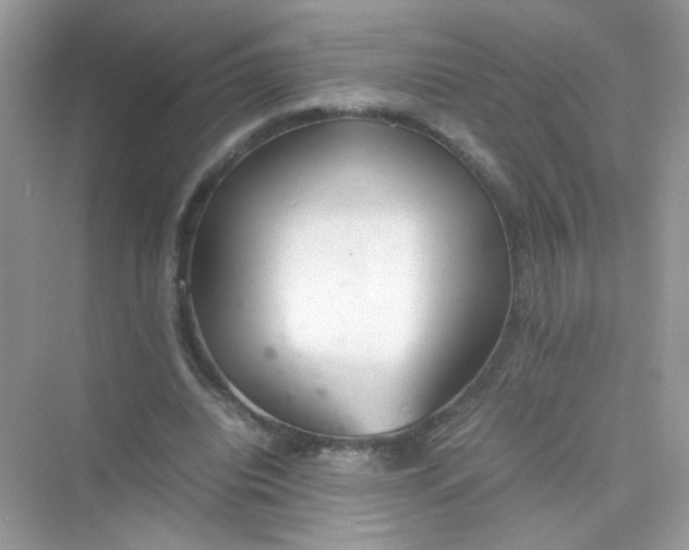 X0000075330440200609292012