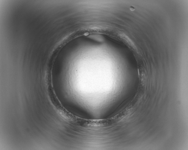 X0000075330444200609292013