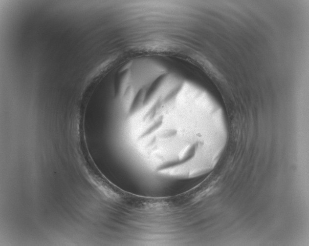 X0000075330446200609292013