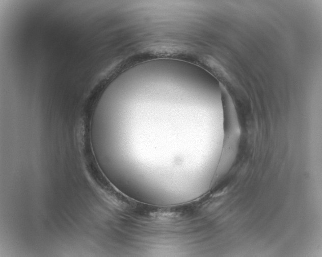 X0000075330448200609292013
