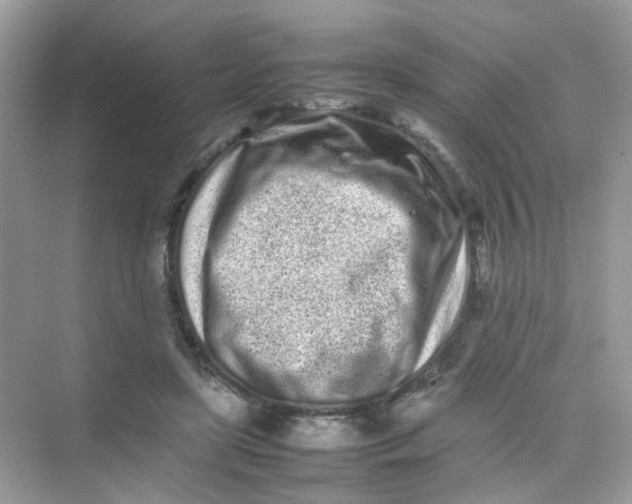 X0000075330451200609292013