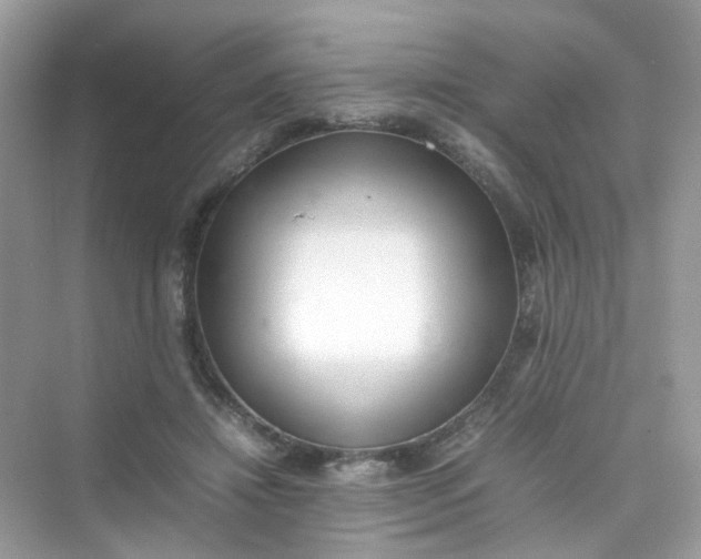 X0000075330452200609292013