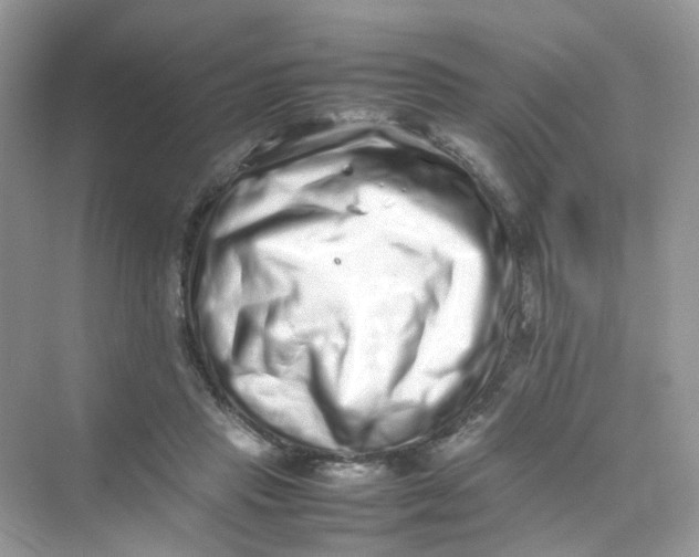 X0000075330453200609292013