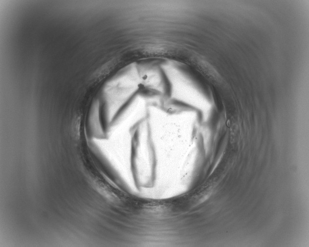X0000075330454200609292013