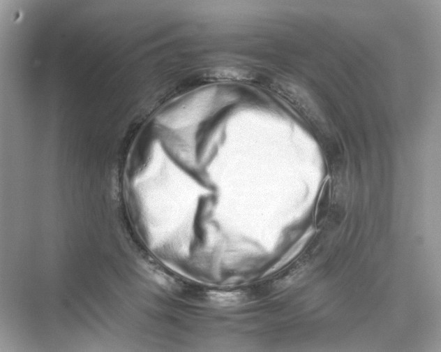 X0000075330457200609292013