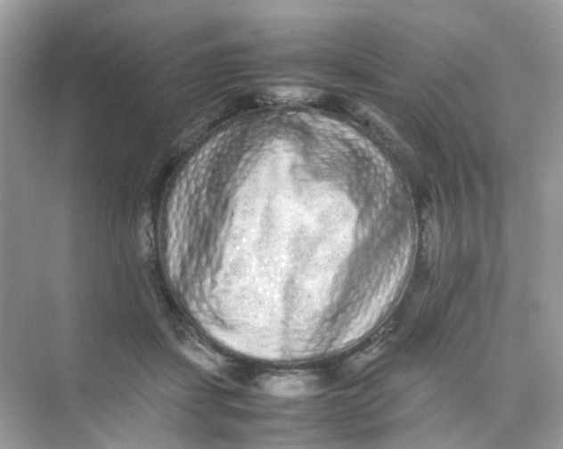 X0000075330459200609292013