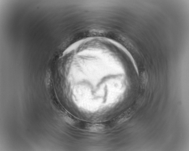 X0000075330463200609292013