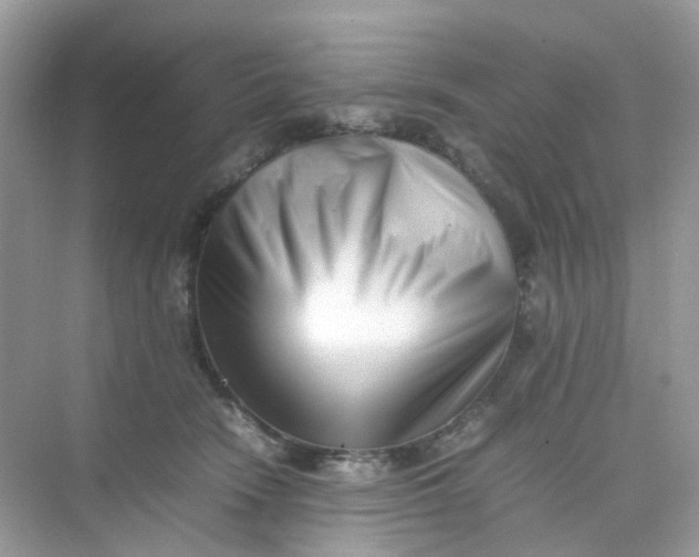 X0000075330466200609292013
