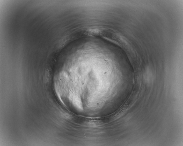 X0000075330467200609292013