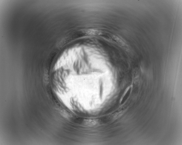 X0000075330469200609292013