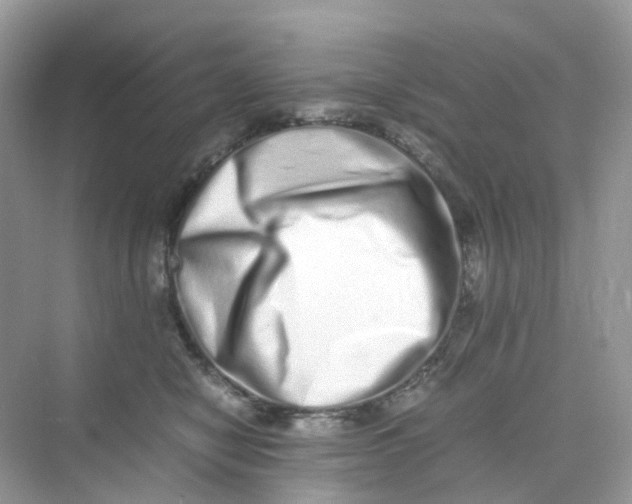 X0000075330470200609292013