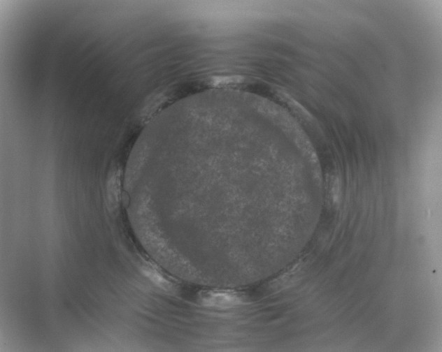 X0000075330475200609292013