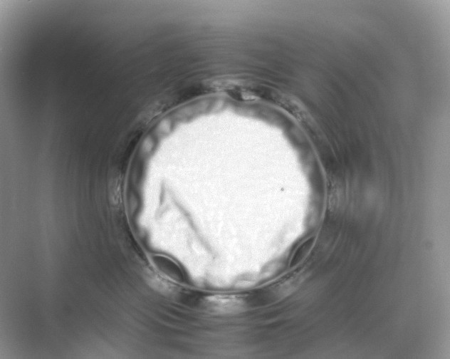 X0000075330477200609292013