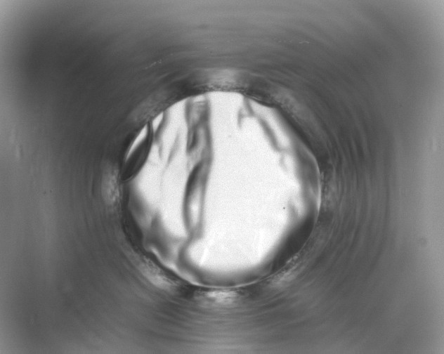 X0000075330478200609292013